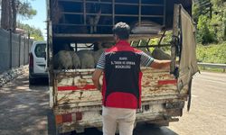 Kozan’da yol kontrollerinde sıkı takip: Hayvan sağlığı ve gıda güvenliği denetlendi