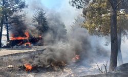 Mersin’de feci kaza sonrası alevler ormana ulaştı: 1 ölü, 2 yaralı
