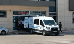 Minibüs savrulup kamyona çarptı: Karı koca hayatını kaybetti