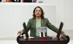 Müzeyyen Şevkin çiftçinin sorunlarını Meclis’e taşıdı: 5 önerge, 41 soru