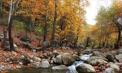 Pozantı Belemedik Yaylası büyüleyici atmosferiyle ziyaretçilerini bekliyor