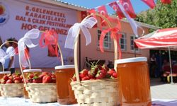 Pozantı’da Bal ve Çilek Festivali için geri sayım başladı