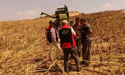 Sarıçam'da tarım arazileri hastalık ve zararlılara karşı denetleniyor