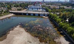 Seyhan Baraj Gölü kapakları kapanınca Seyhan Nehri'nde sular çekildi