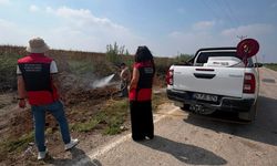 Seyhan’da tarım ekipleri zararlılara geçit vermiyor