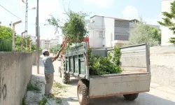 Temiz ve yaşanabilir bir Ceyhan için ekipler sahada!