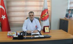Üzeyir Can: Hayvan toplama ekipleri veteriner hekimsiz çalıştırılamaz