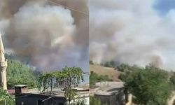 Adana Karaisalı’da ormanlık alan alevlere teslim oldu