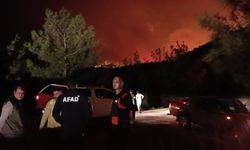 Adana Valiliği açıkladı: Yangınlarda 132 hektar alan zarar gördü