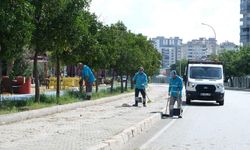 Adana'da cadde ve sokaklar yeniden temizlendi