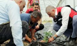 Adana’da kahve üretimi için ilk adımlar atıldı