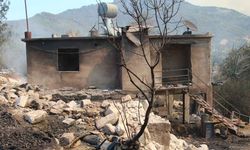 Aladağ’a sıçrayan orman yangınında 19 ev küle döndü