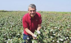 Ayhan Barut: Çukurova’nın beyaz altınını da bitirdiler