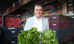 Ayhan Barut: "Aracıları suçlayarak gıda krizini çözemezsiniz"