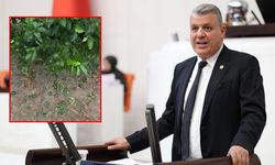 Ayhan Barut’tan Yüreğir’in 5 mahallesi için “afet bölgesi” çağrısı