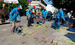 Büyükşehir’den kent genelinde kapsamlı temizlik çalışması
