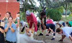 Çukurova’da hareketli yaşam başlıyor