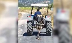 Köpeği traktörün arkasına bağlayıp sürükledi