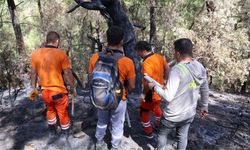 Kozan’da yanan 5 bin 903 hektarlık orman alanı yeniden ağaçlandırılacak