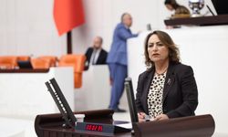 Müzeyyen Şevkin’den Çukurova çiftçisi için Meclis araştırması çağrısı