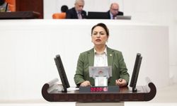 Şevkin’den engelli bakım desteği için TBMM’ye iki önerge