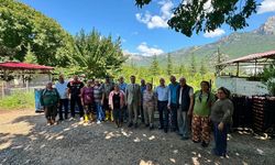 Pozantı’da nektarin hasadı başladı