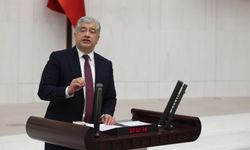 Sadullah Kısacık: "Mahsul dalında çürüyor, çiftçi ürettikçe batıyor"