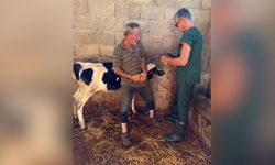 Sarıçam’da Brusella’ya karşı aşılama seferberliği