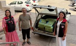 Üreticilere zararlılarla mücadelede kükürt desteği