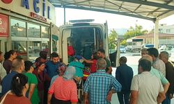 Kozan’da kestiği ağaç üzerine devrilen kişi ağır yaralandı