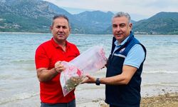 665 Bin sazan yavrusu suya bırakıldı