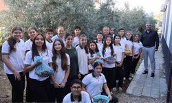 8 yıl sonra aynı ağacın altında buluştular: Çocukluk hatıraları meyve verdi