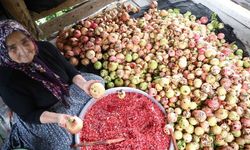 80 yaşındaki Yeter Nine ve ailesi 1,5 ton narı nar ekşisine dönüştürüyor