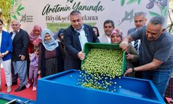 Adana’da zeytin üreticilerine makine desteği: 9 mahallede kullanılacak