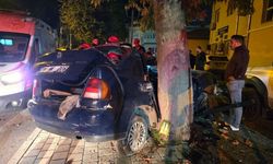 Adana'da ağaca çarpan otomobildeki çocuk öldü
