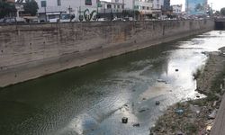 Adana'da sulama kanalında çöp ve koku isyanı