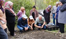 Adana'da üretici kadınlar için Beyaz Zambak hamlesi: İkinci etap başladı