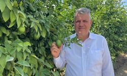 Barut: Üretici para kazanamazsa üretmez