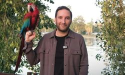 Bilici: Festivaller artsın, Adana kazansın