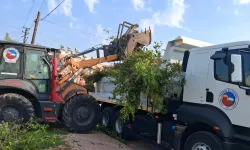 Ceyhan Belediyesi’nden temizlik seferberliği: "Temiz bir Ceyhan için 7/24 sahadayız!"