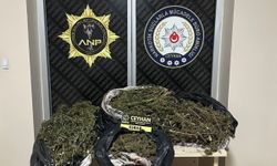 Ceyhan'da uyuşturucu operasyonu: 8 kilo 562 gram esrar ele geçirildi, 2 şüpheli tutuklandı