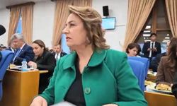 CHP'li Müzeyyen Şevkin'den TBMM'de danışmanların özlük hakları için çağrı