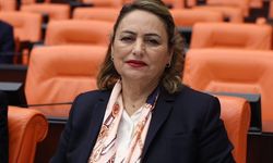 CHP'li Şevkin'den 20 milyar dolarlık fon krizi çıkışı: “Yüzyılın skandalı!”