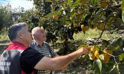 Çiftçiler dikkat! Dolu zararı için son tarih 23 Ekim