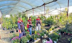 Çukurova’da süs bitkisi üreticilerine denetim