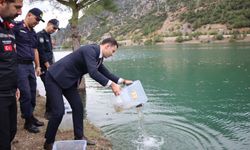 Feke'de can suyu: 400 Bin Sazan yavrusu Göksu Çayı ve Baraj gölüne bırakıldı