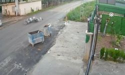 Kediye çarpmamak için fren yaptı, motosikleti devrildi