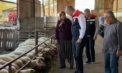 Kırsalda bereket projesi sahada takip ediliyor
