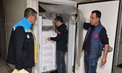 Kozan'da balık satış noktalarına sıkı denetim
