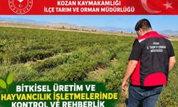 Kozan’da tarım ve hayvancılık işletmelerine yönelik denetim ve rehberlik çalışmaları sürüyor
